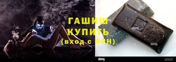 стаф Алзамай
