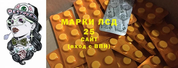 стаф Алзамай