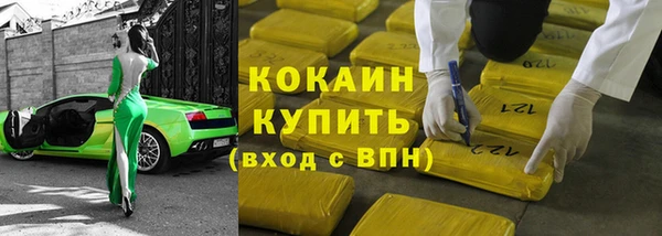 стаф Алзамай